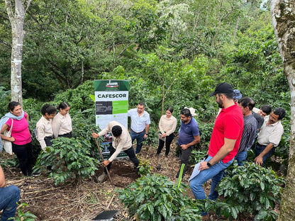 Honduras Copán