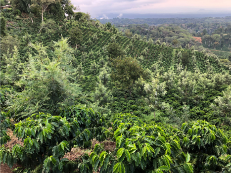 Mexico Chiapas