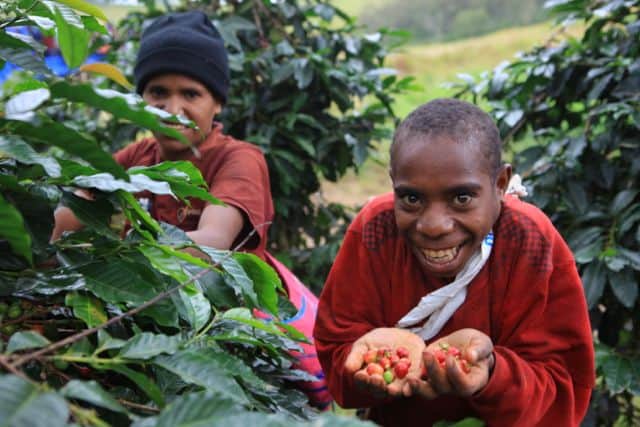 Papua New Guinea Goroka
